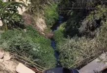 whatsapp image 2026 04 19 at 14.18.50