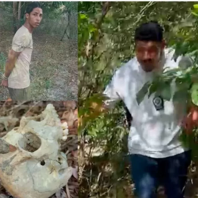 whatsapp image 2026 04 20 at 14.38.12