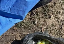 whatsapp image 2026 04 20 at 17.04.34