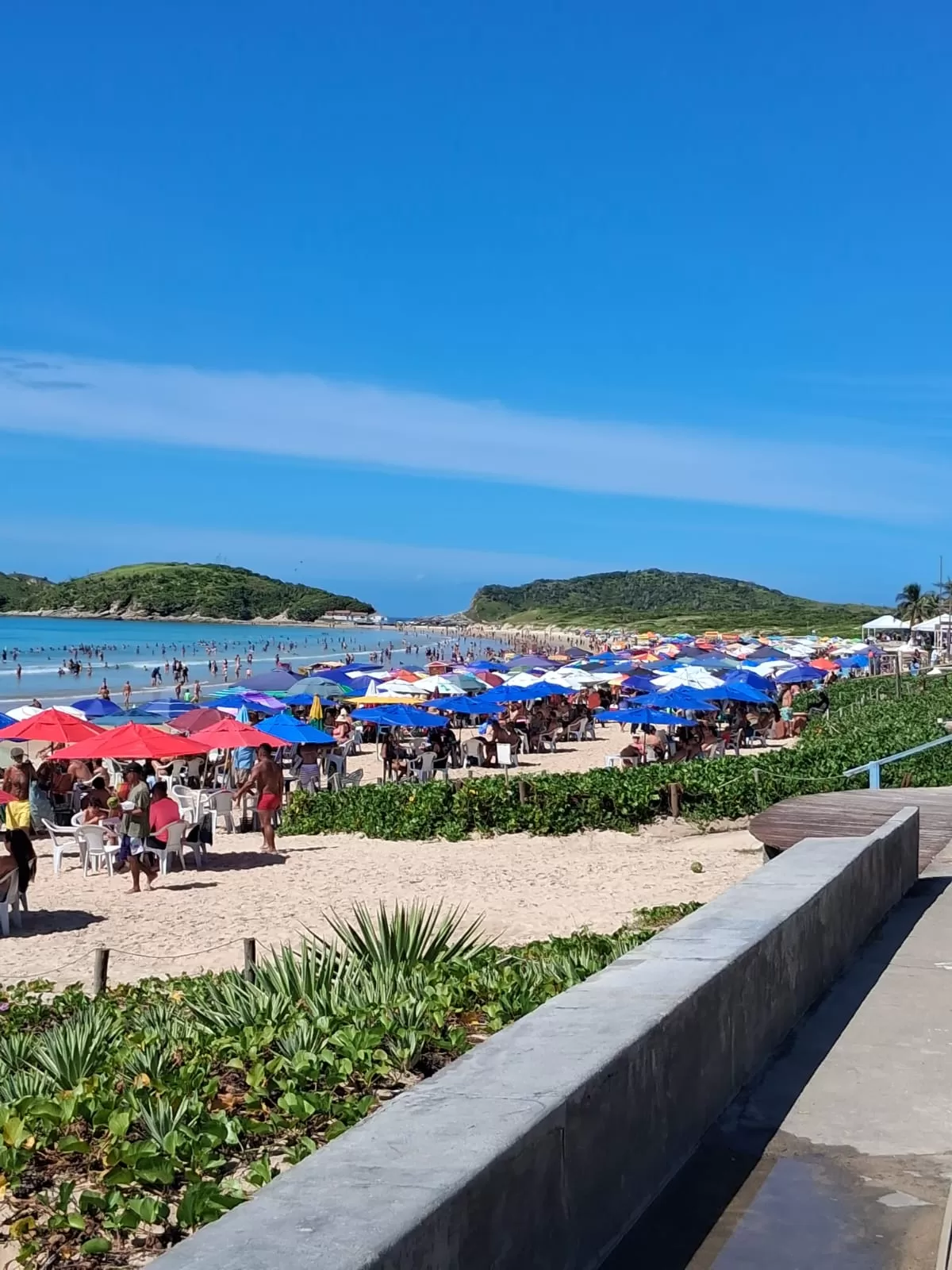 whatsapp image 2026 04 21 at 11.00.26 (2)