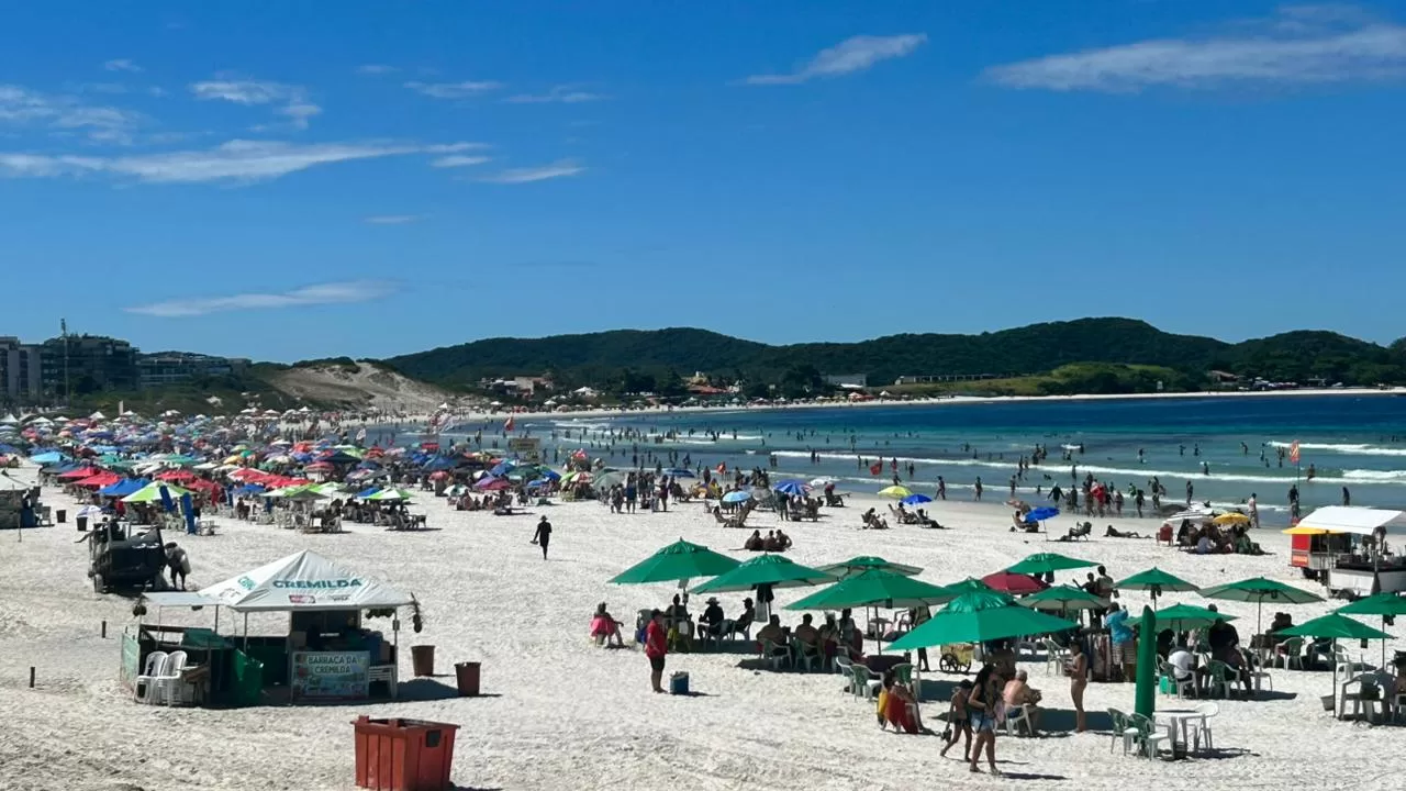 whatsapp image 2026 04 24 at 11.43.00