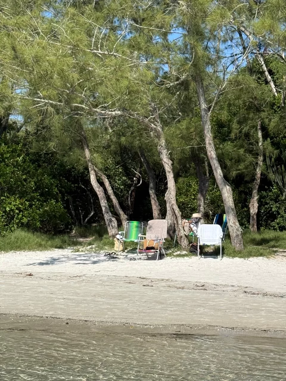 whatsapp image 2026 04 26 at 09.50.43 (1)