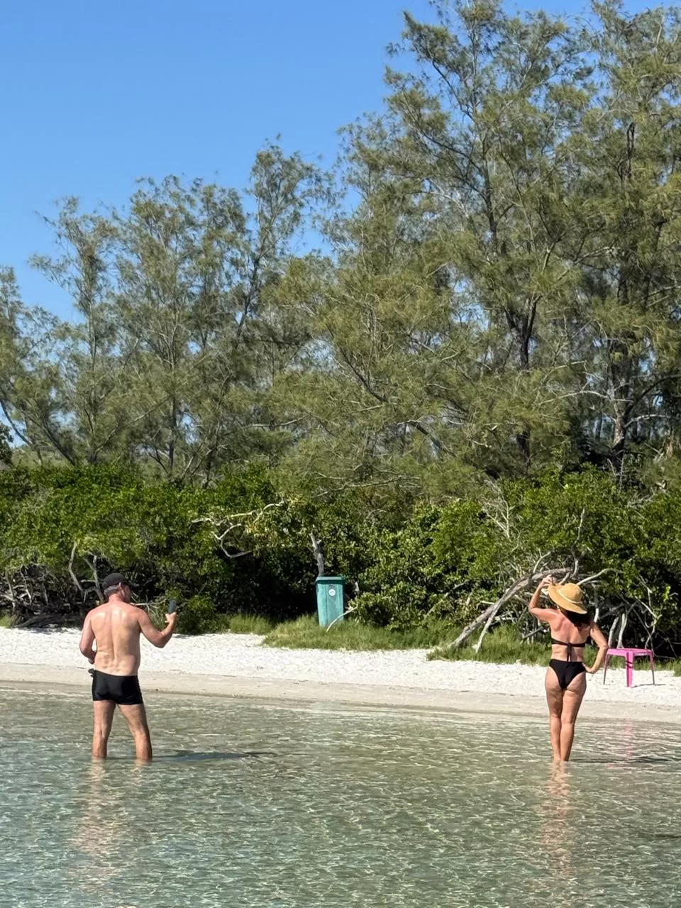 whatsapp image 2026 04 26 at 09.50.43 (3)