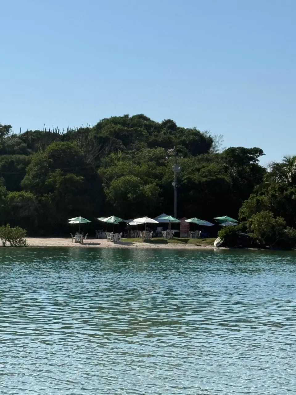 whatsapp image 2026 04 26 at 09.50.43 (4)