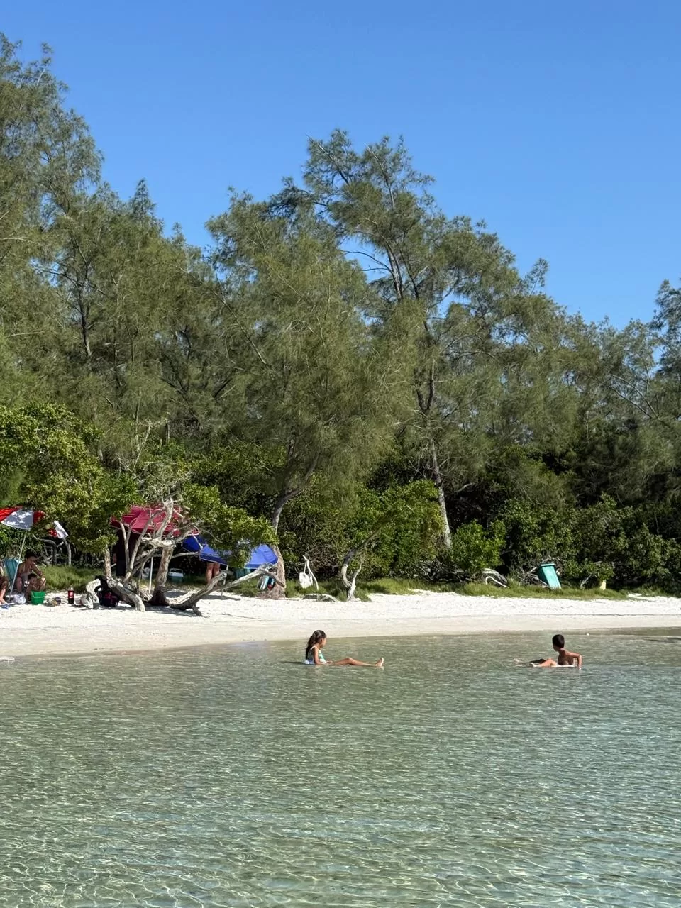 whatsapp image 2026 04 26 at 09.50.43 (5)