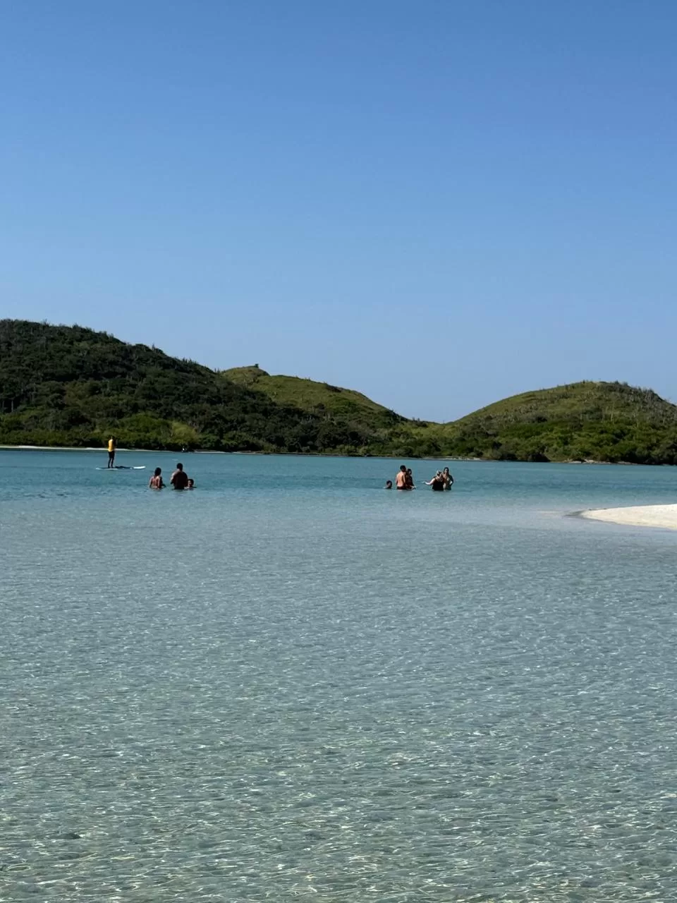 whatsapp image 2026 04 26 at 09.50.43 (6)