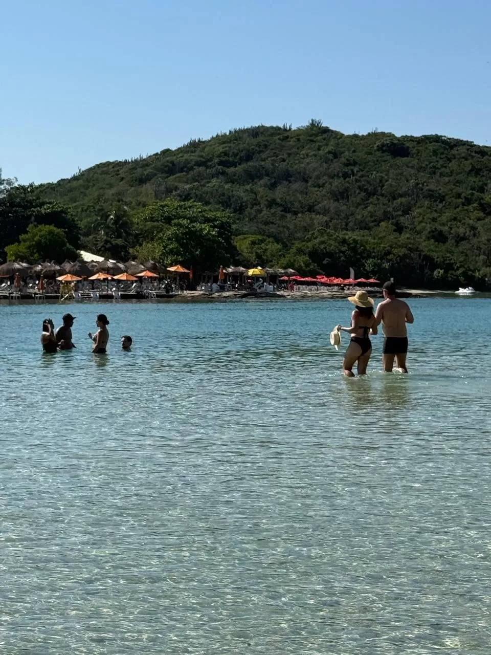 whatsapp image 2026 04 26 at 09.50.43