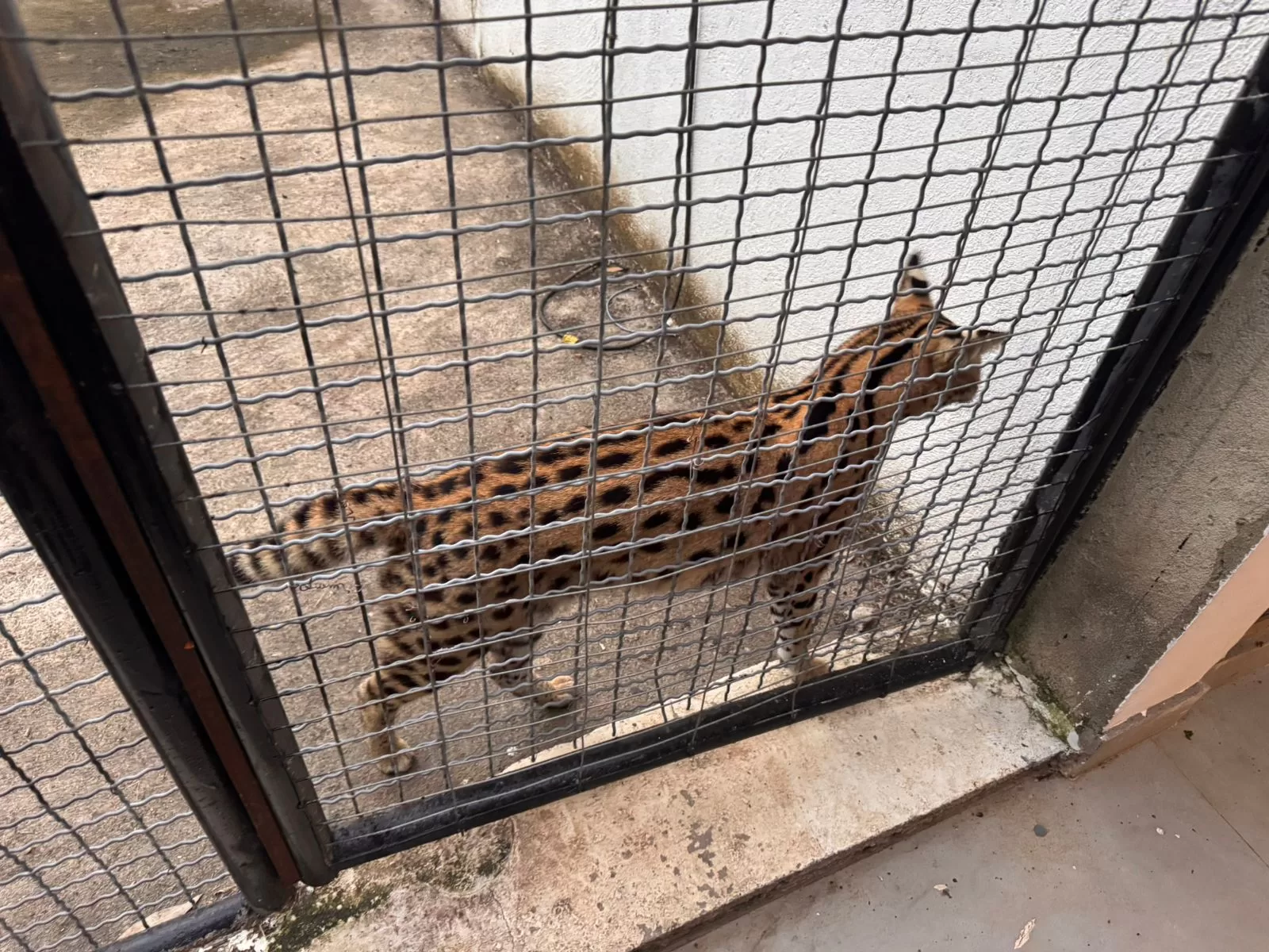 whatsapp image 2026 04 29 at 08.13.26 (4)