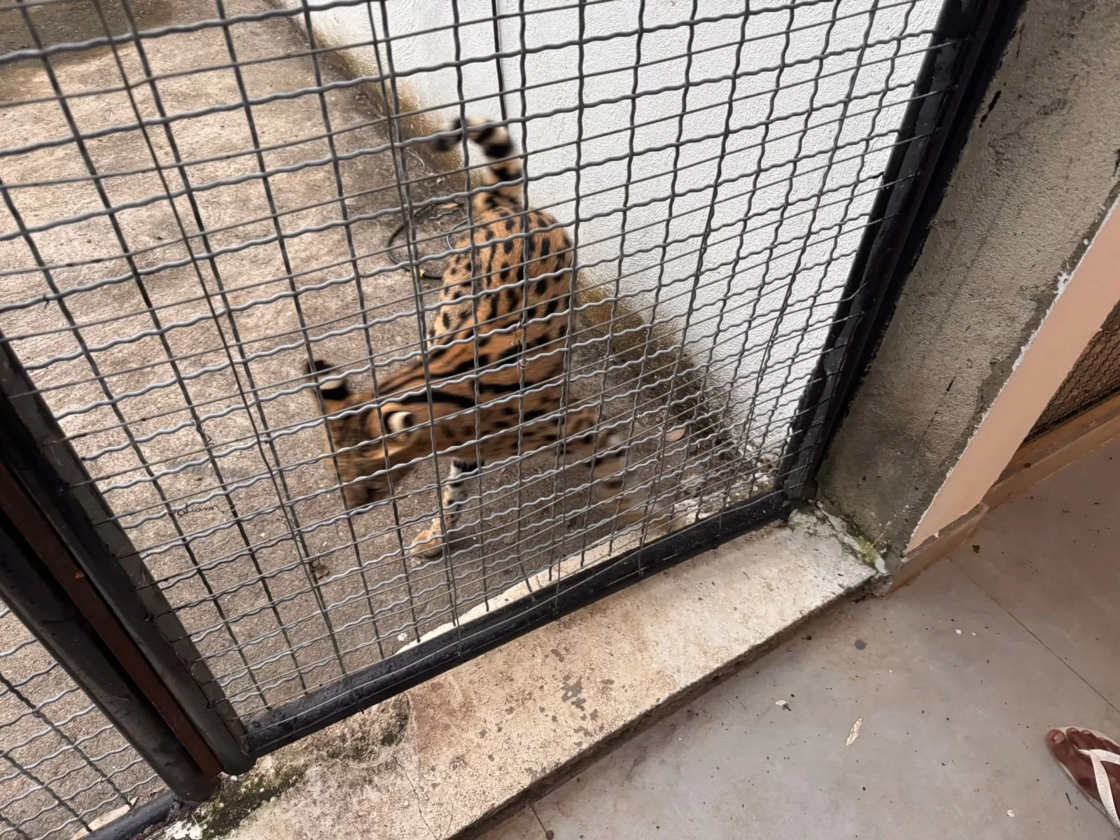 whatsapp image 2026 04 29 at 08.13.27 (1)