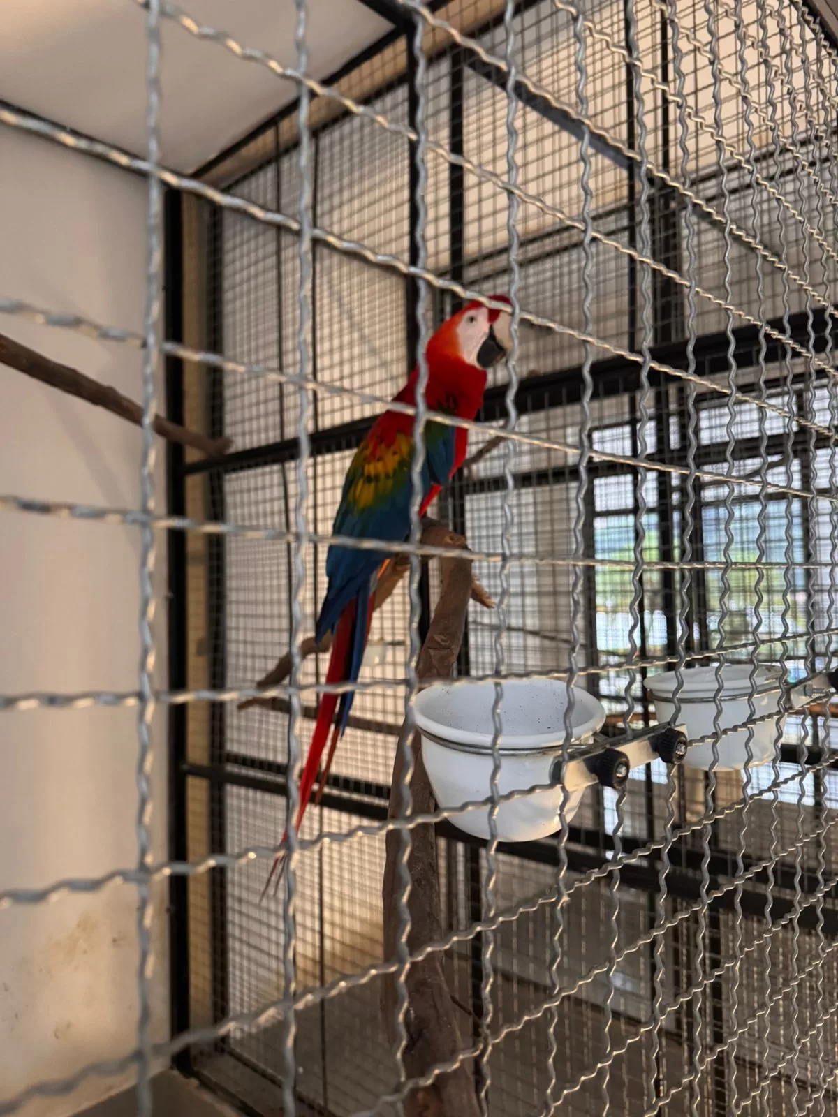 whatsapp image 2026 04 29 at 08.13.27 (3)