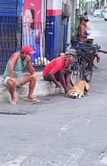 captura de tela 2026 05 16 132640