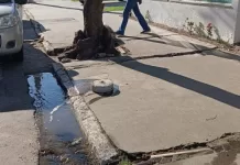 Estabelecimento é interditado após reincidência em irregularidade sanitária em Cabo Frio 16784b0e 302e 4336 8033 aa724281ce98 rpfevi70qca7gz3dhcmdipneufzxlo6u862kbdiffk