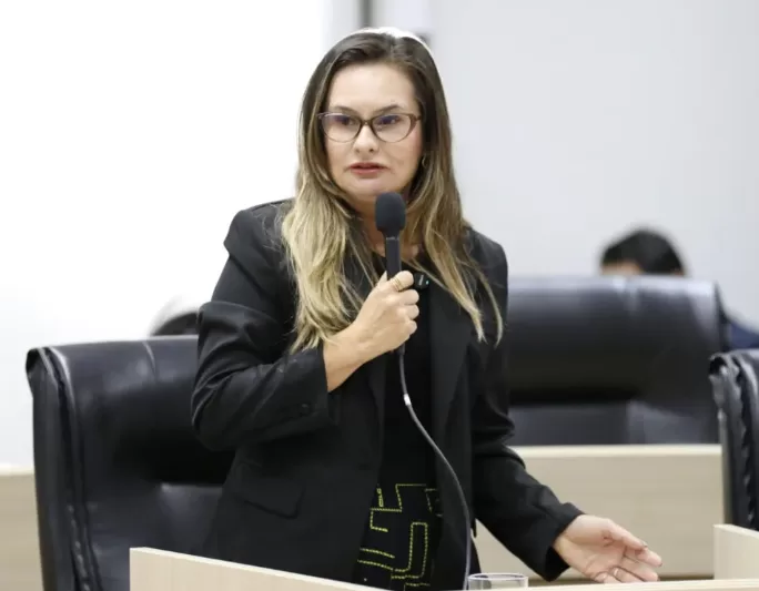 captura de tela 2026 06 11 125657