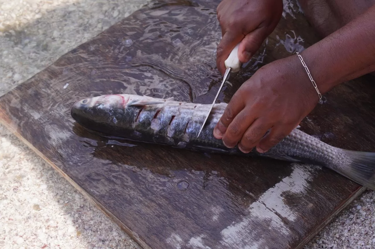 dia do pescador prolagos (1)