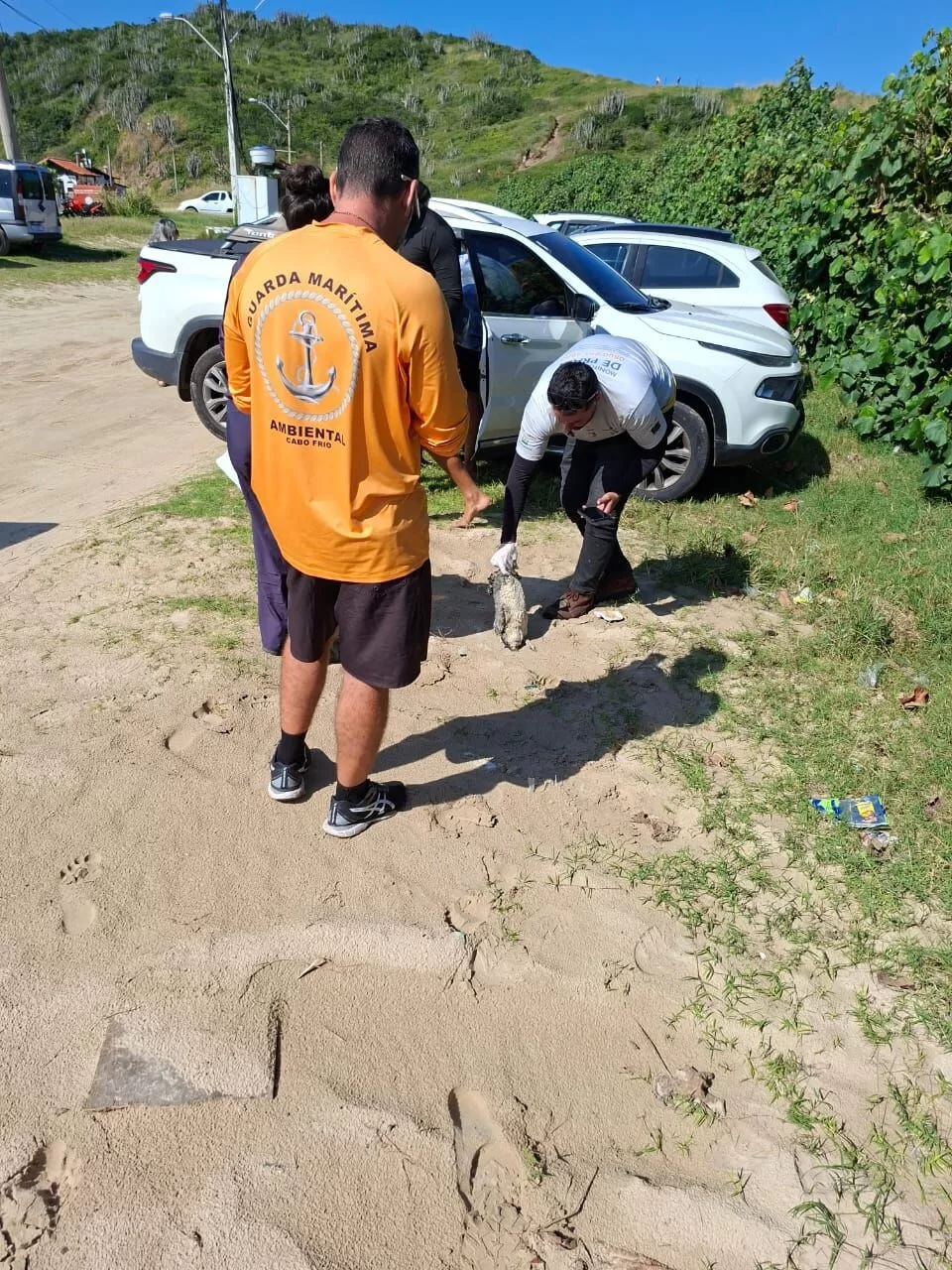 img 20260601 wa0308