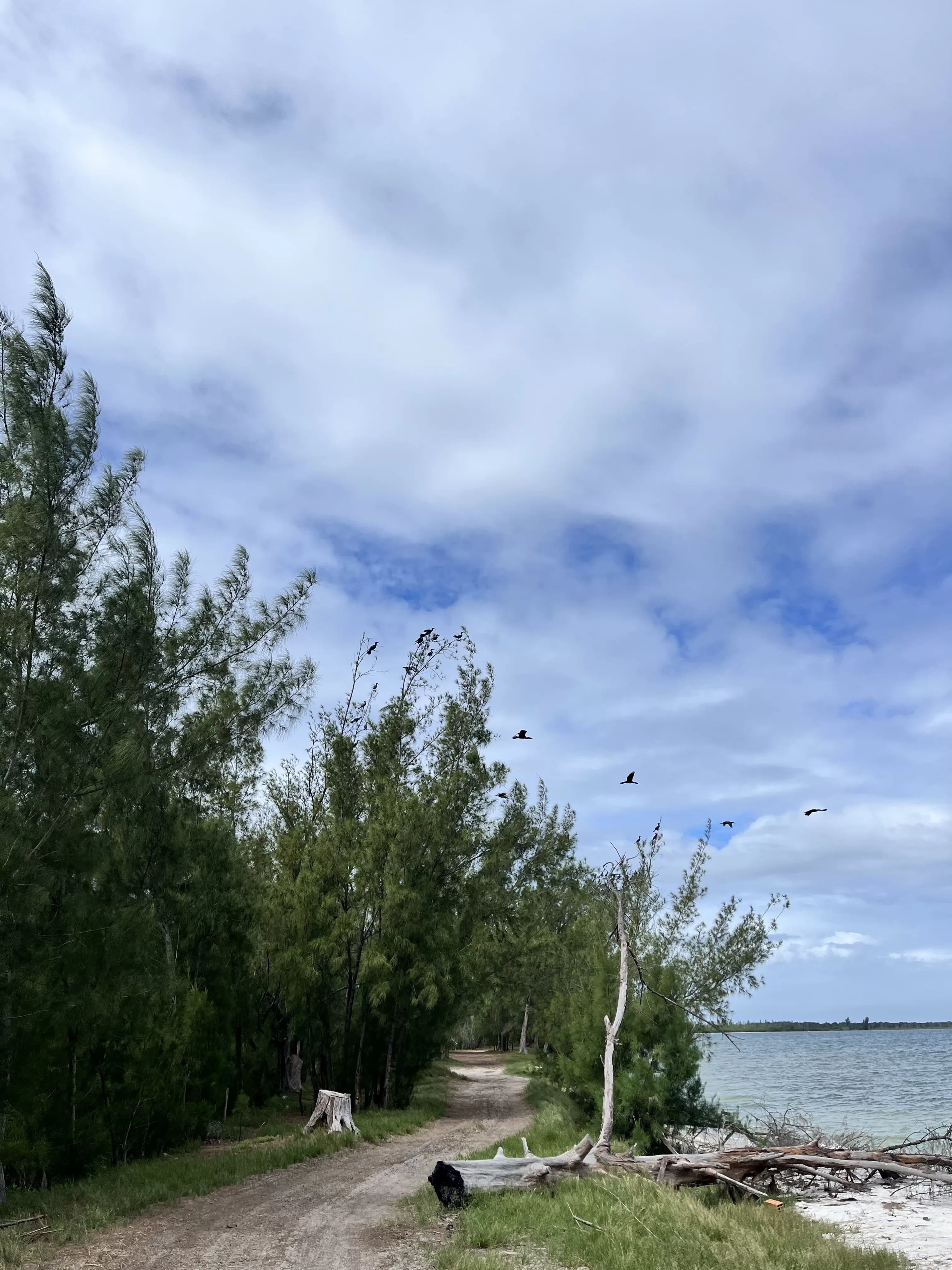 img 20260605 wa0025