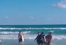 Turista morre após entrar no mar da Praia Grande, em Arraial do Cabo img 20260605 wa0181
