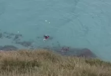 Duas pessoas são resgatadas após dificuldade no mar na Praia Grande, em Arraial do Cabo screenshot 1