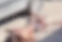 Homem é morto a tiros em bairro de São Pedro da Aldeia na tarde desta segunda-feira (22) screenshot 1
