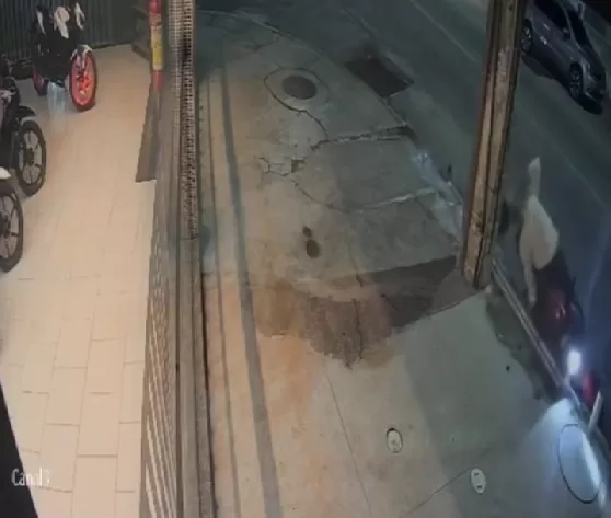 captura de tela 2026 07 12 160141