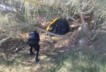 Cabo Frio realiza retirada de acampamentos improvisados no Jardim Caiçara img 20260729 wa0160