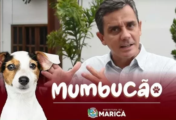 captura de tela 2026 08 17 190804