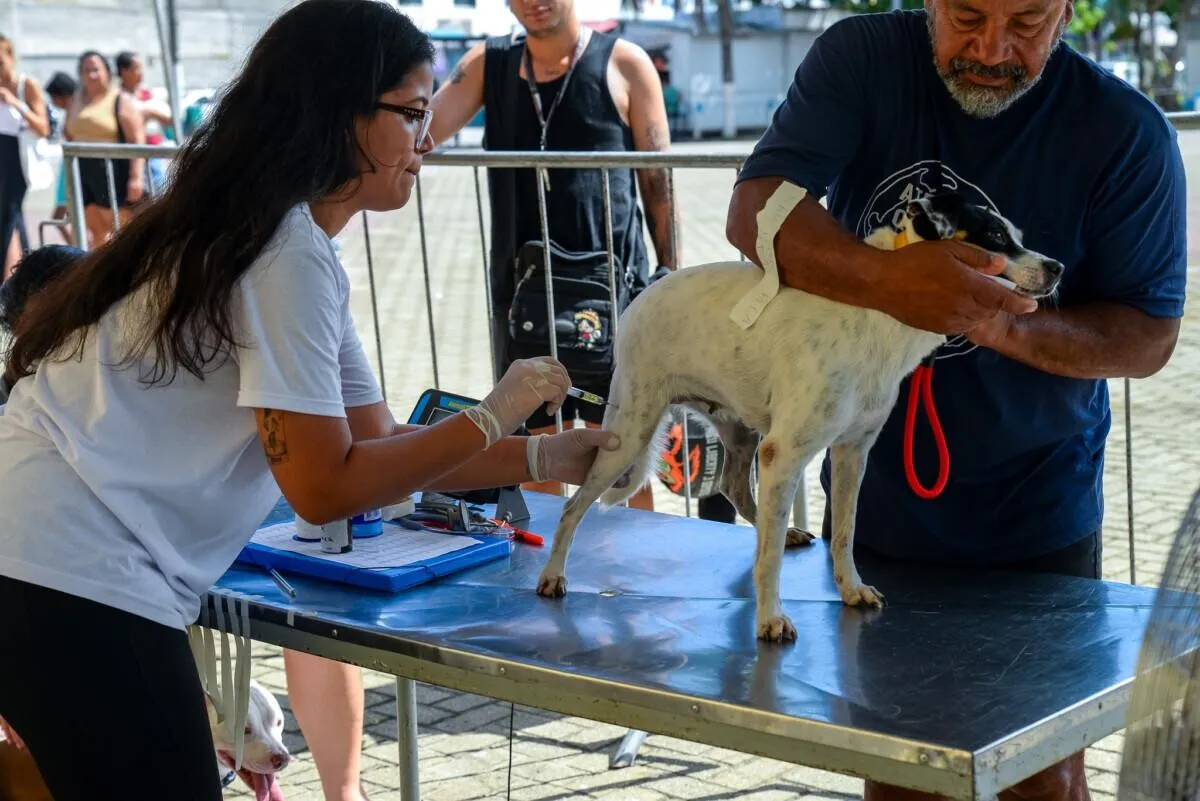 castramovel retorna a cabo frio na proxima segunda feira 35 para nova etapa de atendimentos (1)