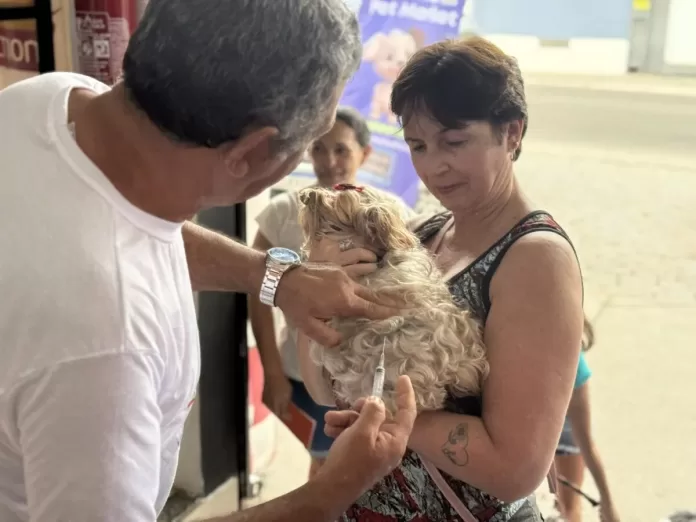 feira de adocao oferece vacinacao antirrabica gratuita em cabo frio neste sabado 22