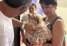 Feira de Adoção Animal realiza vacinação antirrábica gratuita em Cabo Frio img 20260809 wa0042