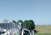Acidente entre caminhão e carro deixa uma pessoa ferida na BR-101, em Macaé img 20260813 wa0233