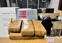 Motorista é preso com 30 kg de maconha na BR-101, em Casimiro de Abreu whatsapp image 2026 08 22 at 10.23.13