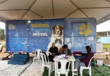 Castramóvel retoma atendimentos na Rasa, em Búzios img 20260908 wa0200