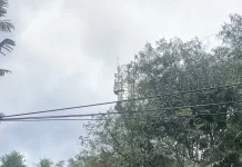Árvore derruba ponto de ônibus após chuva forte em Búzios img 20261006 wa0183