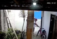 img 20261027 wa0213